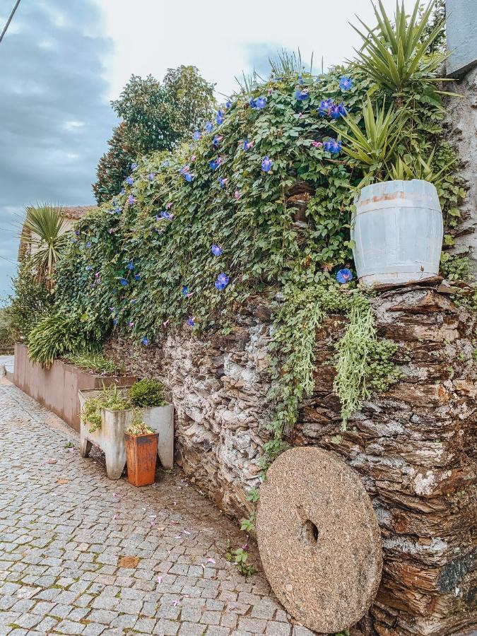 Douro Rural Holiday home Porto